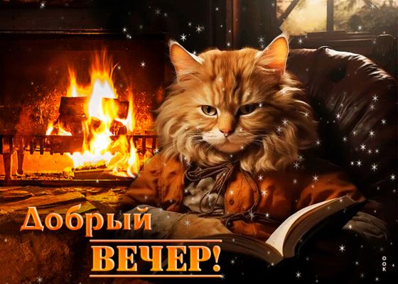 Открытка «Добрый вечер и пожелания»: Добрый вечер! Кот у камина с книгой. Тэги: Добрый зимний вечер, Добрый вечер кра…