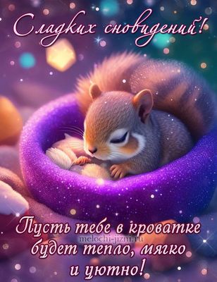 Открытка «Доброй ночи»: Спокойной ночи: милая белка и пожелание сладких снов. Тэги: Спокойной ночи, Спокойной ночи…