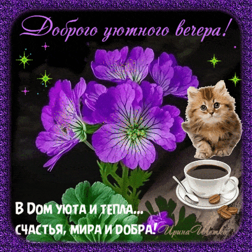 Открытка «Добрый вечер и пожелания»: Добрый вечер: «Желаю уюта, счастья и добра». Тэги: Доброго вечера и хорошего нас…