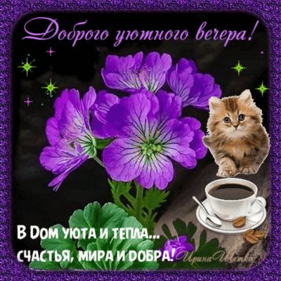 Открытка «Добрый вечер и пожелания»: Добрый вечер: «Желаю уюта, счастья и добра». Тэги: Доброго вечера и хорошего нас…