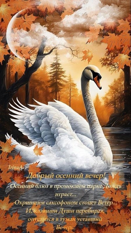 Открытка «Добрый вечер и пожелания»: Добрый вечер! Красивая осень и белый лебедь. Тэги: Добрый вечер красивые, Доброго…