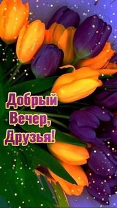 Открытка «Добрый позитивный вечер»: Добрый вечер, друзья: яркий букет тюльпанов. Тэги: Добрый вечер, с цветами…