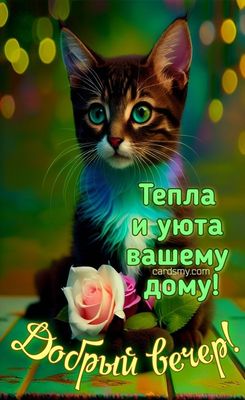 Открытка «Добрый вечер и пожелания»: Добрый вечер: милый котик и пожелание уюта. Тэги: Добрый вечер красивые, Добрый…