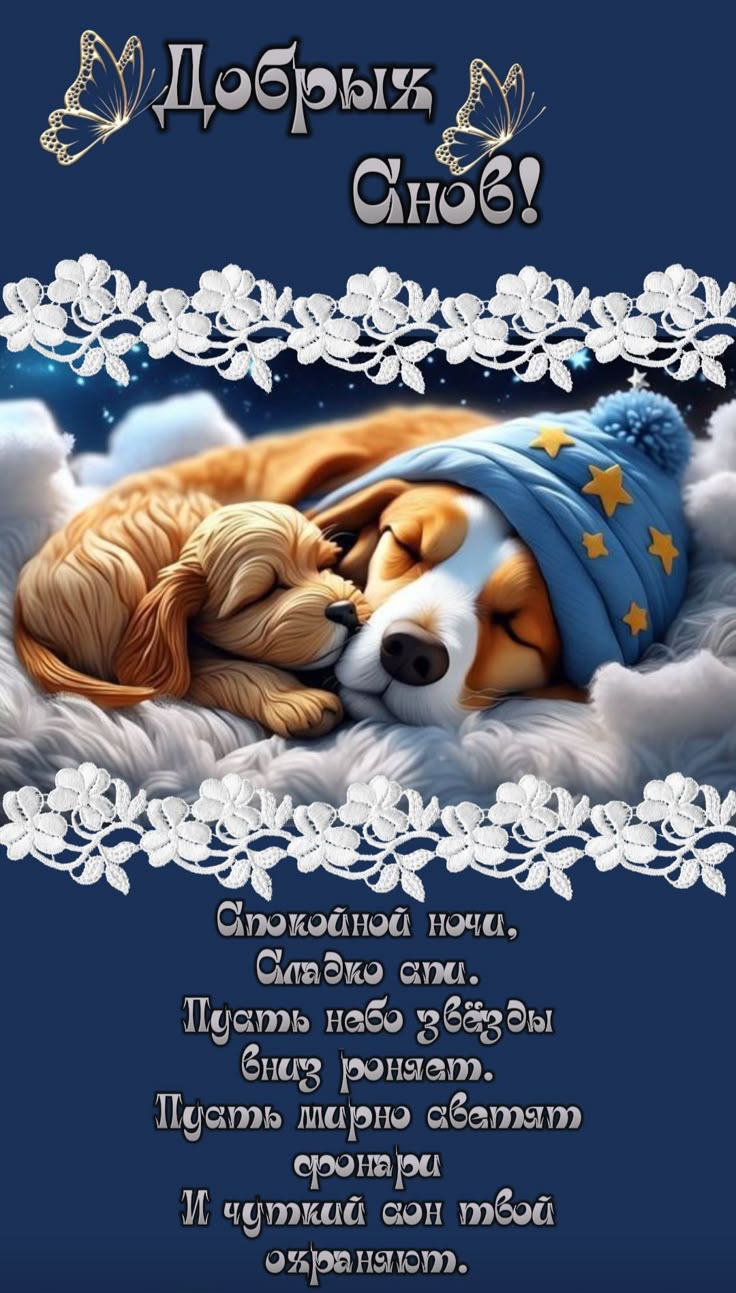 Открытка «Доброй ночи»: Доброй ночи: милые собаки и пожелание добрых снов. Тэги: Спокойной ночи, Спокойной ночи…