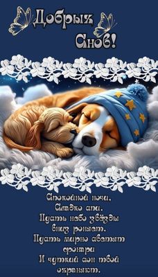 Открытка «Доброй ночи»: Доброй ночи: милые собаки и пожелание добрых снов. Тэги: Спокойной ночи, Спокойной ночи…