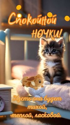 Открытка «Доброй ночи»: Спокойной ночки: милый котенок и доброе пожелание. Тэги: Спокойной ночи, Спокойной ночи…