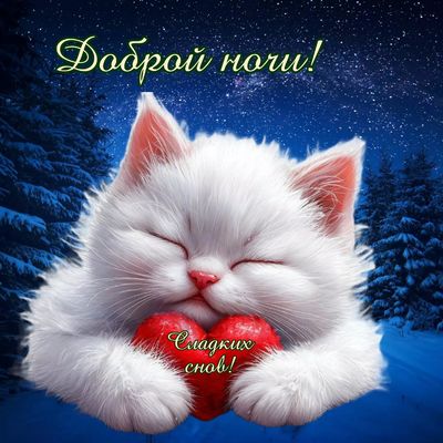 Открытка «Доброй ночи»: Спокойной ночи: открытка с белым котенком и сердцем. Тэги: Спокойной ночи, Спокойной ночи…