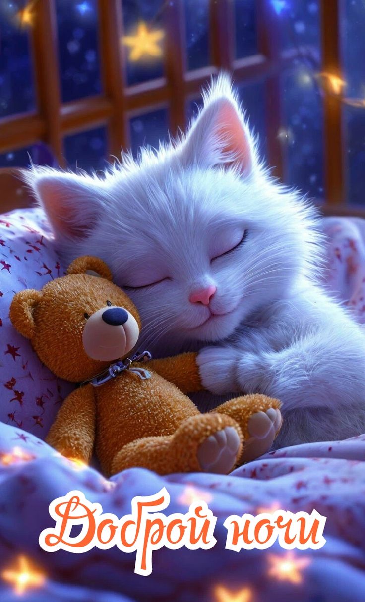 Открытка «Доброй ночи»: Спокойной ночи: Спящий котенок с мишкой. Тэги: Спокойной ночи, Спокойной ночи, с пожеланиями…