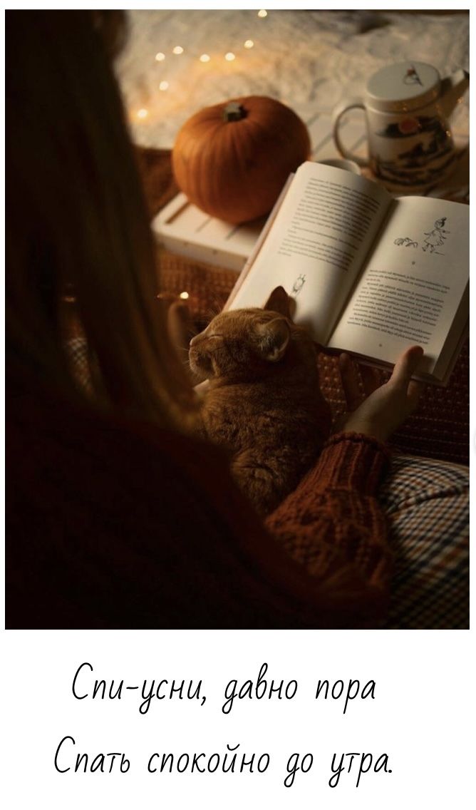 Открытка «Доброй ночи»: Спокойной ночи: Уютный вечер с книгой и котом. Тэги: Спокойной ночи, Спокойной ночи, с пожела…