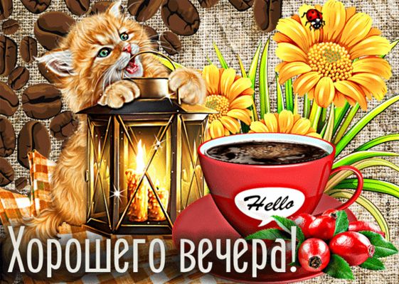 Открытка «Добрый вечер и пожелания»: Добрый вечер: пушистый котик и чашка ароматного кофе. Тэги: Прикольный добрый ве…