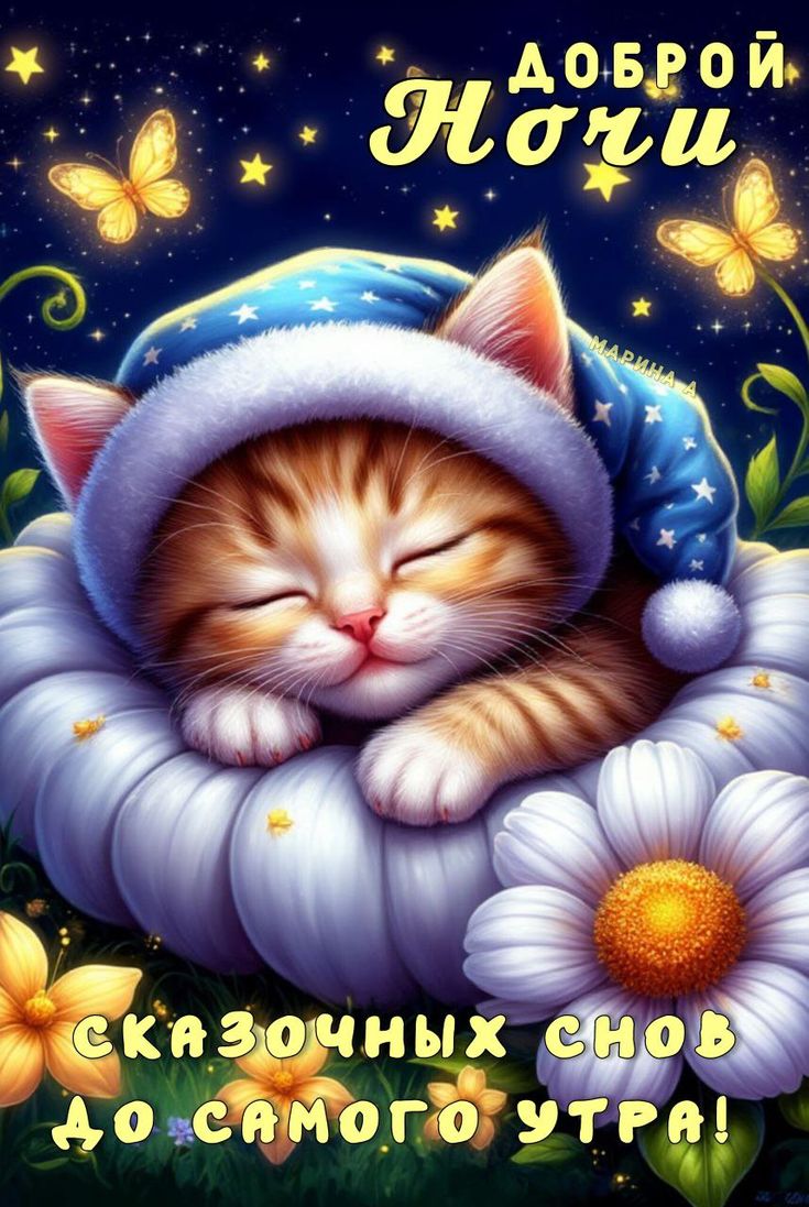 Открытка «Доброй ночи»: Спокойной ночи: спящий котенок и сказочные сны. Тэги: Спокойной ночи, Спокойной ночи, с пожел…