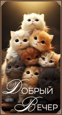 Открытка «Пирамида»: Добрый вечер с милыми котятами: открытка для настроения. Тэги: Добрый вечер и пожелания, Добрый…
