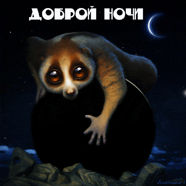 Открытка «Доброй ночи»: Спокойной ночи: милый лори и звездное небо. Тэги: Спокойной ночи, лори, Спокойной ночи…