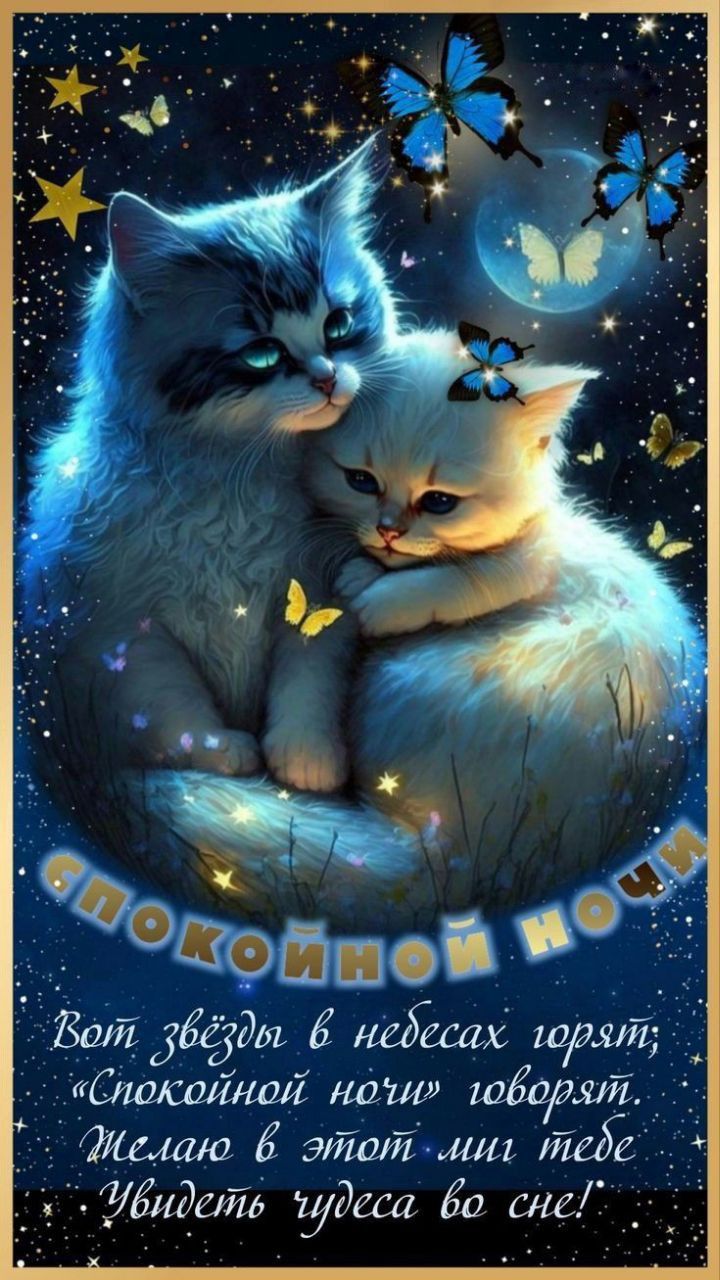 Открытка «Доброй ночи»: Спокойной ночи: «Двое котят и синие бабочки». Тэги: Спокойной ночи, ночной, Спокойной ночи…