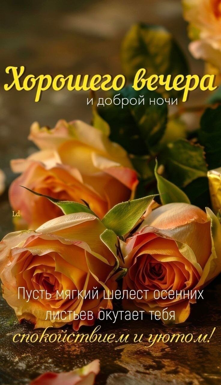 Открытка «Доброй ночи»: Добрый вечер и доброй ночи: красивые розы. Тэги: шелест, Доброго вечера и доброй ночи, Добрый…