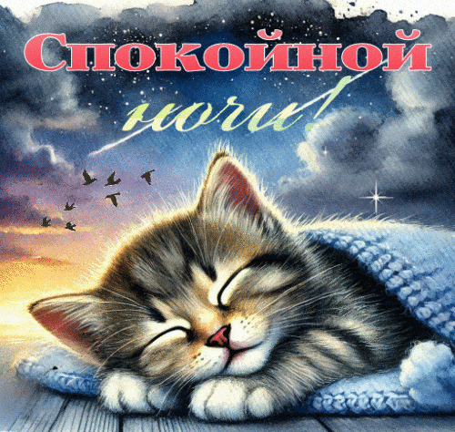 Открытка «Доброй ночи»: Спокойной ночи: Спящий котенок и звездное небо. Тэги: Спокойной ночи, Спокойной ночи, с пожел…