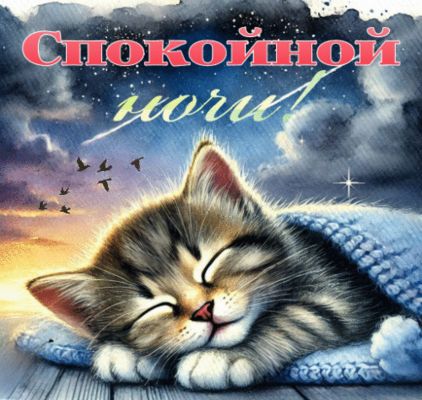 Открытка «Доброй ночи»: Спокойной ночи: Спящий котенок и звездное небо. Тэги: Спокойной ночи, Спокойной ночи, с пожел…