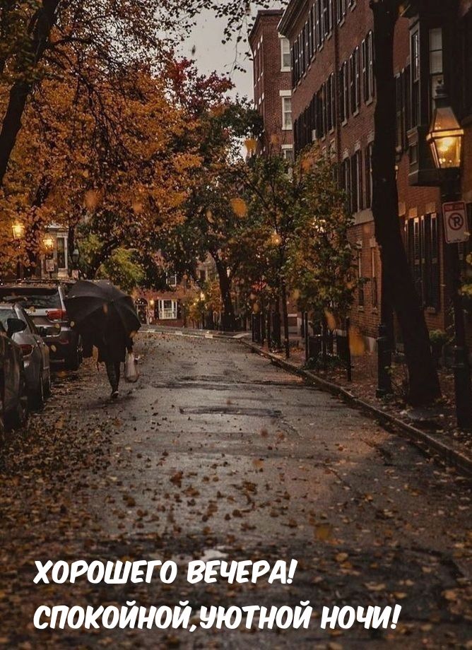 Открытка «Спокойной ночи»: Добрый вечер: «Осенний уют под зонтом». Тэги: Добрый вечер и пожелания, Добрый вечер и спо…