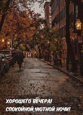 Открытка «Спокойной ночи»: Добрый вечер: «Осенний уют под зонтом». Тэги: Добрый вечер и пожелания, Добрый вечер и спо…