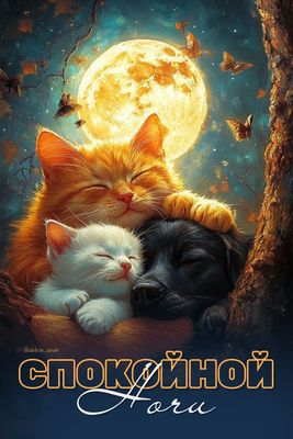 Открытка «Доброй ночи»: Спокойной ночи: «Чудесные сны под полной луной».
