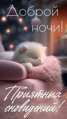 Открытка «Доброй ночи»: Доброй ночи: милый пушистый котенок на розовом кресле. Тэги: Спокойной ночи, Спокойной ночи…
