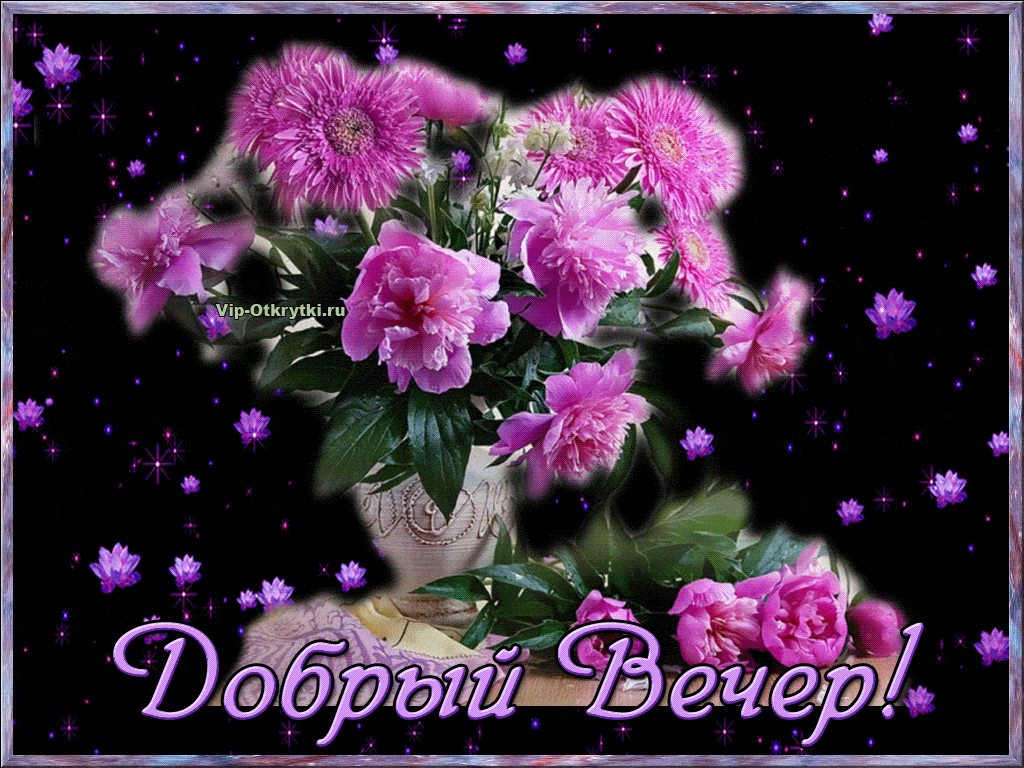 Открытка «Добрый вечер и пожелания»: Добрый вечер: Красивыи букет пионов и астр. Тэги: Добрый вечер женщине, Доброго…