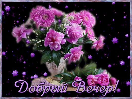Открытка «Добрый вечер и пожелания»: Добрый вечер: Красивыи букет пионов и астр. Тэги: Добрый вечер женщине, Доброго…