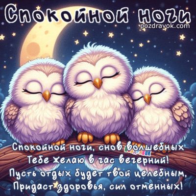 Открытка «Доброй ночи»: Спокойной ночи: «Милые совята» под луной. Тэги: Спокойной ночи, Спокойной ночи, красивые…
