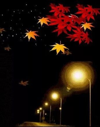 Открытка «Добрый вечер и пожелания»: Добрый вечер: Красивая открытка с осенними листьями. Тэги: Необычный добрый вечер…