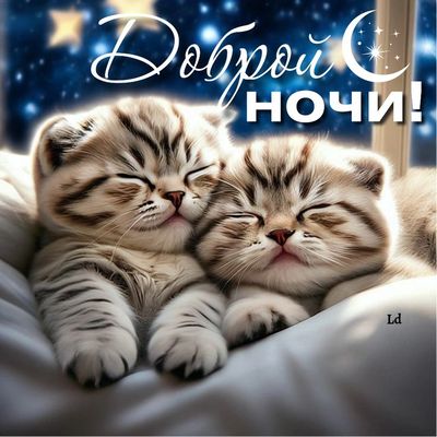 Открытка «Доброй ночи»: Доброй ночи: милые котята спят под звездным небом. Тэги: Спокойной ночи, Спокойной ночи…