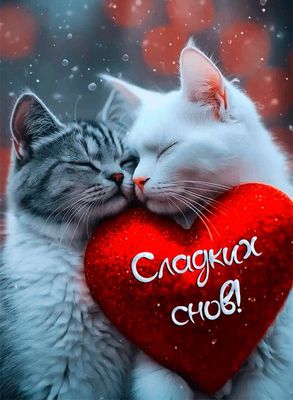 Открытка «Доброй ночи»: Спокойной ночи: «Сладких снов» с милыми котиками. Тэги: Спокойной ночи, Спокойной ночи…