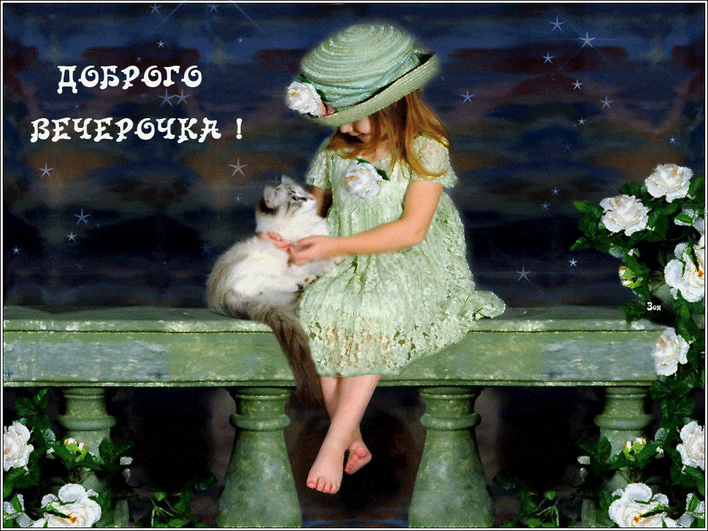 Открытка «Добрый вечер и пожелания»: Добрый вечер: милая девочка с котом и белыми розами. Тэги: Добрый вечер красивые…