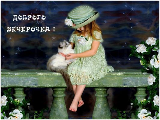 Открытка «Добрый вечер и пожелания»: Добрый вечер: милая девочка с котом и белыми розами. Тэги: Добрый вечер красивые…