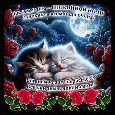 Открытка «Доброй ночи»: Спокойной ночи: «Сонные котята в розах». Тэги: Спокойной ночи, Спокойной ночи, красивые…