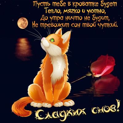 Открытка «Доброй ночи»: Спокойной ночи: рыжий кот и полная луна. Тэги: Спокойной ночи, Спокойной ночи, красивые…