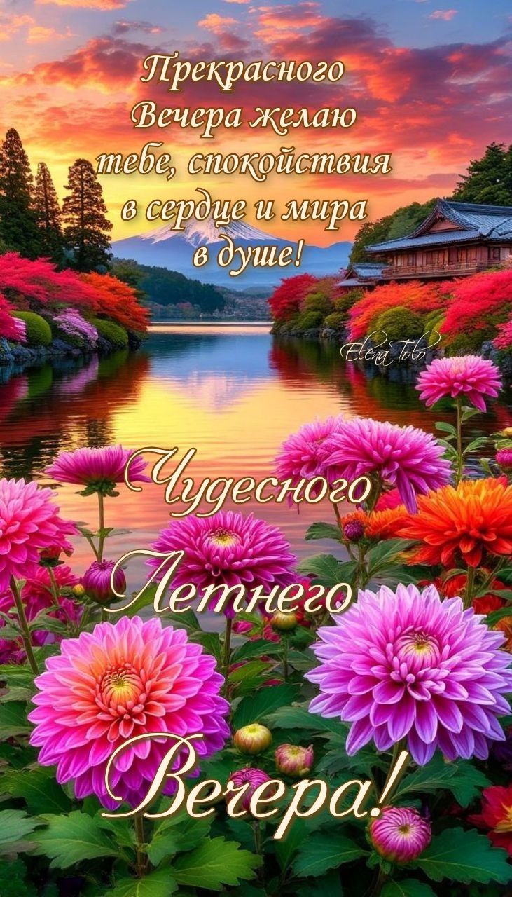 Открытка «Добрый вечер и пожелания»: Добрый вечер: Красивая открытка с цветами и закатом. Тэги: Доброго летнего вечера…