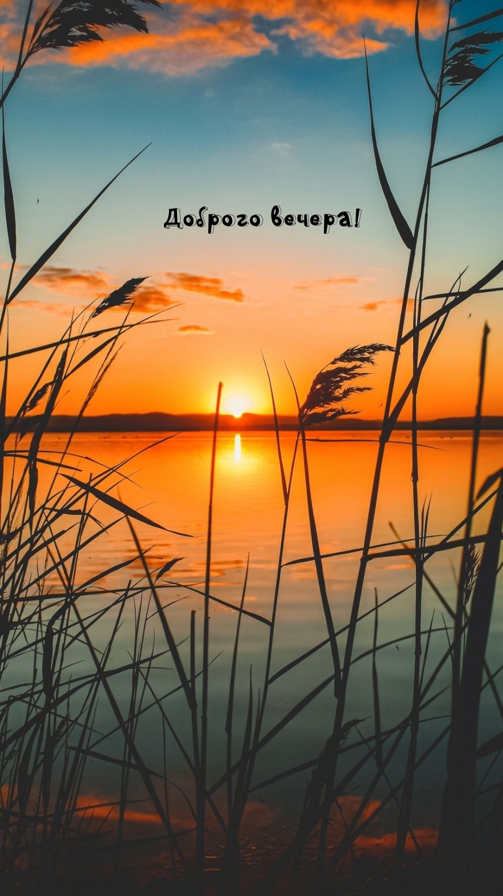 Открытка «Добрый вечер и пожелания»: Добрый вечер: «Закат на озере». Тэги: Добрый вечер красивые, Доброго вечера и хо…