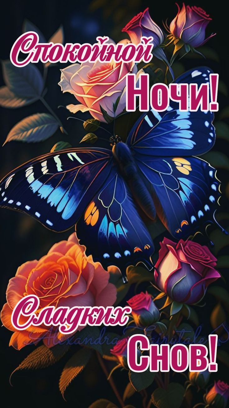 Открытка «Доброй ночи»: Спокойной ночи: Красивая бабочка и нежные розы.