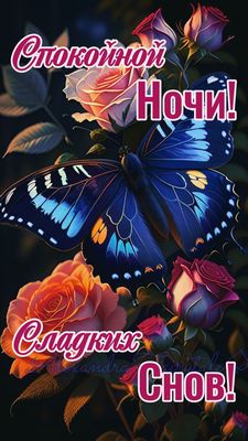 Открытка «Доброй ночи»: Спокойной ночи: Красивая бабочка и нежные розы.