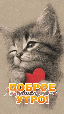 Открытка «С добрым утром»: С добрым утром: милый котик с сердцем. Тэги: Хорошего дня, Отличного настроения, Хорошего…