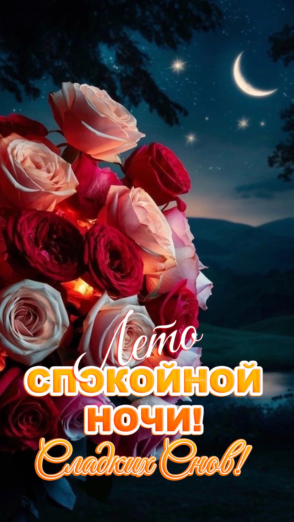 Открытка «Доброй ночи»: Спокойной ночи! Сказочный летний букет роз. Тэги: Спокойной ночи, Спокойной ночи, красивые…