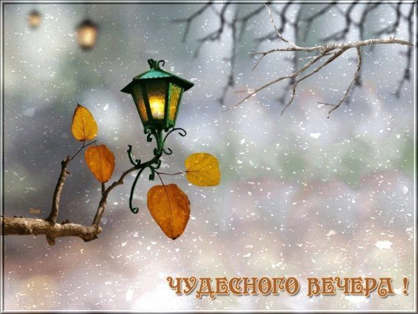 Открытка «Добрый вечер и пожелания»: Добрый вечер: Чудесного вечера с фонариком. Тэги: Добрый зимний вечер, Необычный…