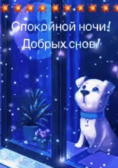 Открытка «Доброй ночи»: Спокойной ночи: милый щенок у окна под луной.