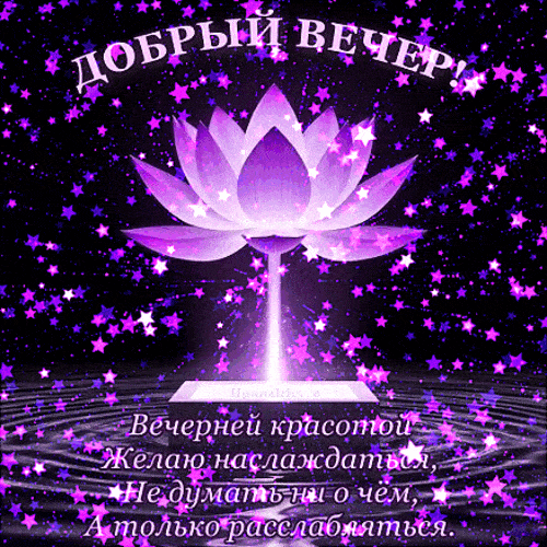 Открытка «Добрый вечер и пожелания»: Добрый вечер! Волшебный цветок лотоса и звезды. Тэги: Добрый вечер красивые…