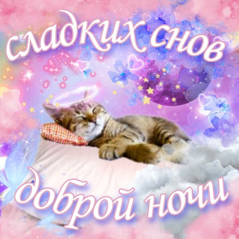 Открытка «Доброй ночи»: Спокойной ночи: милый кот и пожелание сладких снов. Тэги: Спокойной ночи, Спокойной ночи…