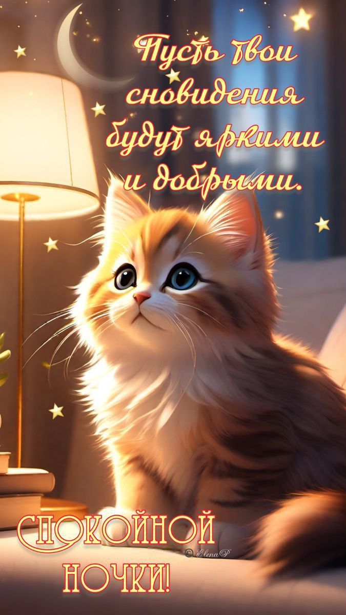 Открытка «Доброй ночи»: Доброй ночи: милый котенок и яркие сновидения.