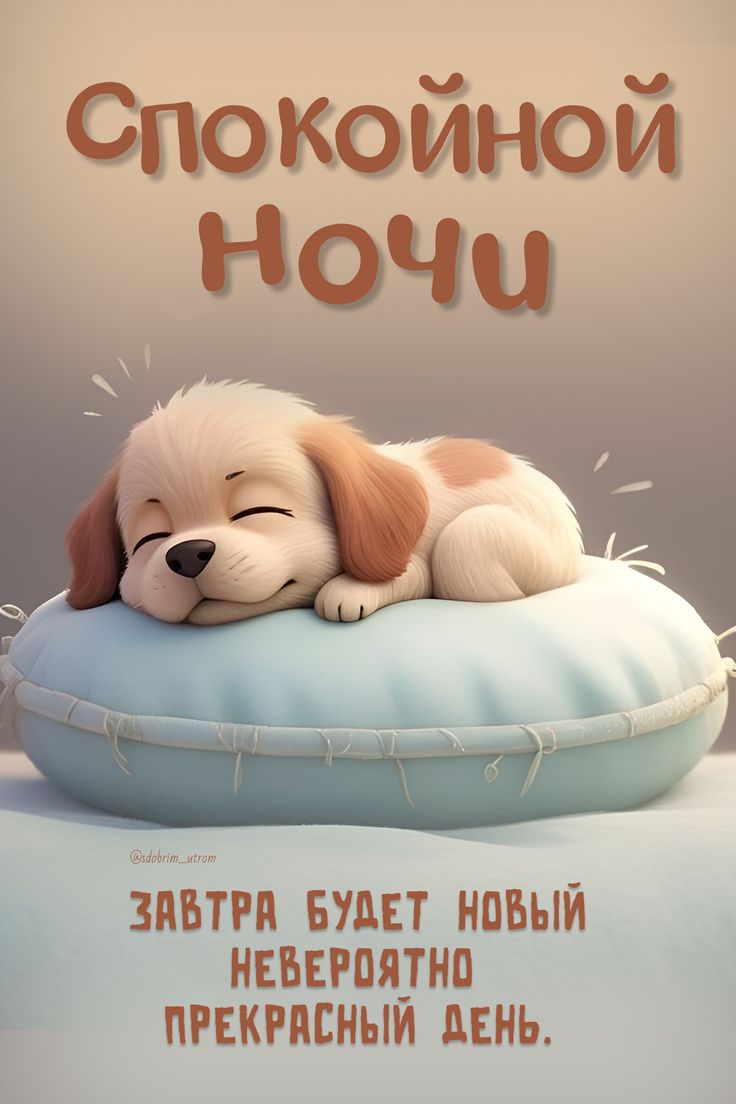 Открытка «Доброй ночи»: Спокойной ночи: «Спящий щенок» и доброе пожелание. Тэги: Спокойной ночи, Спокойной ночи…