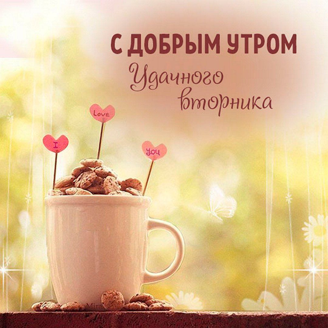 Открытка «С добрым утром»: С добрым утром, любимый! Удачного вторника!. Тэги: хорошего дня, пожелание, позитивная…