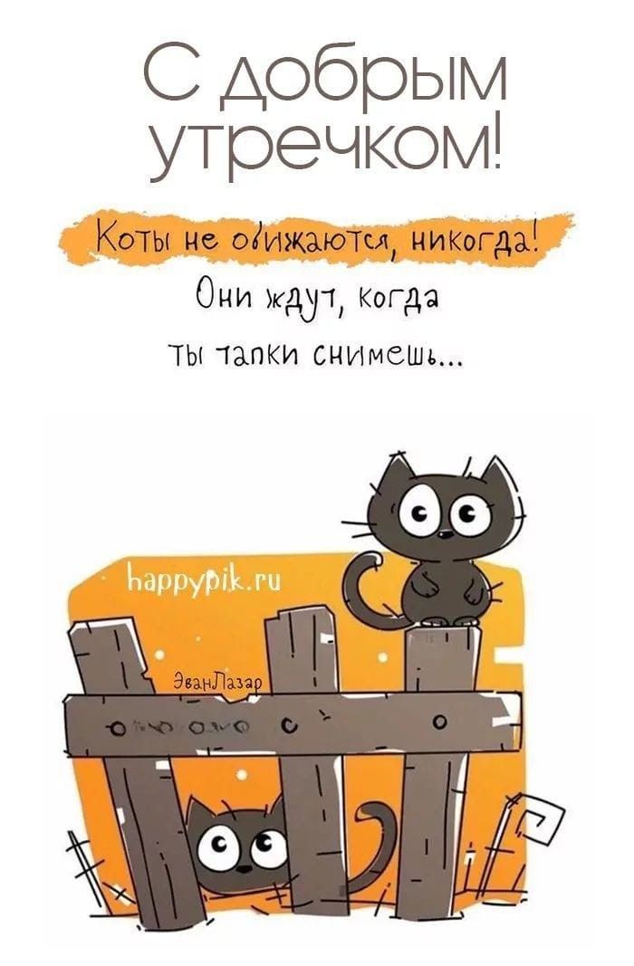 Открытка «С добрым утром»: С добрым утром: коты не обижаются, они ждут тапки!. Тэги: кот, животное, пожелание, позити…