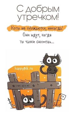 Открытка «С добрым утром»: С добрым утром: коты не обижаются, они ждут тапки!. Тэги: кот, животное, пожелание, позити…